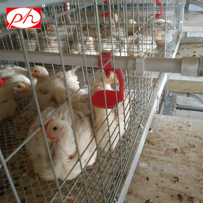 Broiler cage poultry equipment